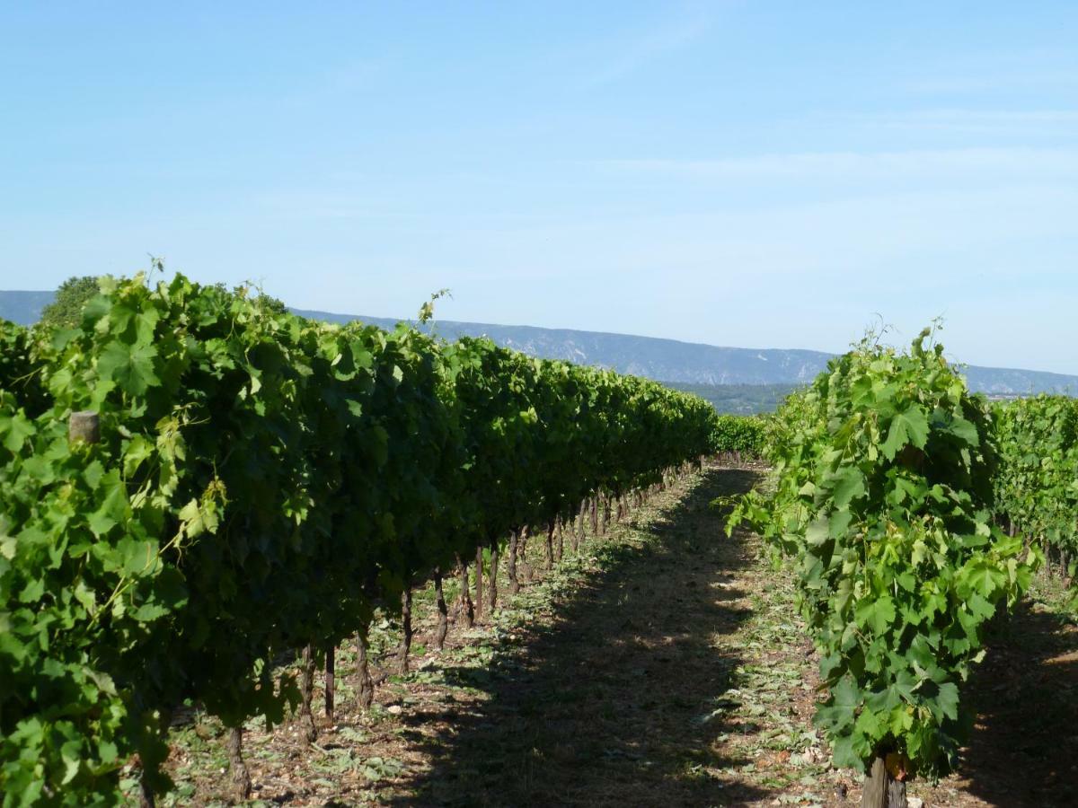 Luberon & Lavandes Руссільйон Екстер'єр фото