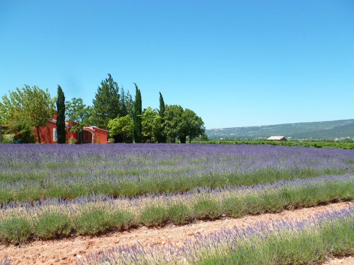 Luberon & Lavandes Руссільйон Екстер'єр фото