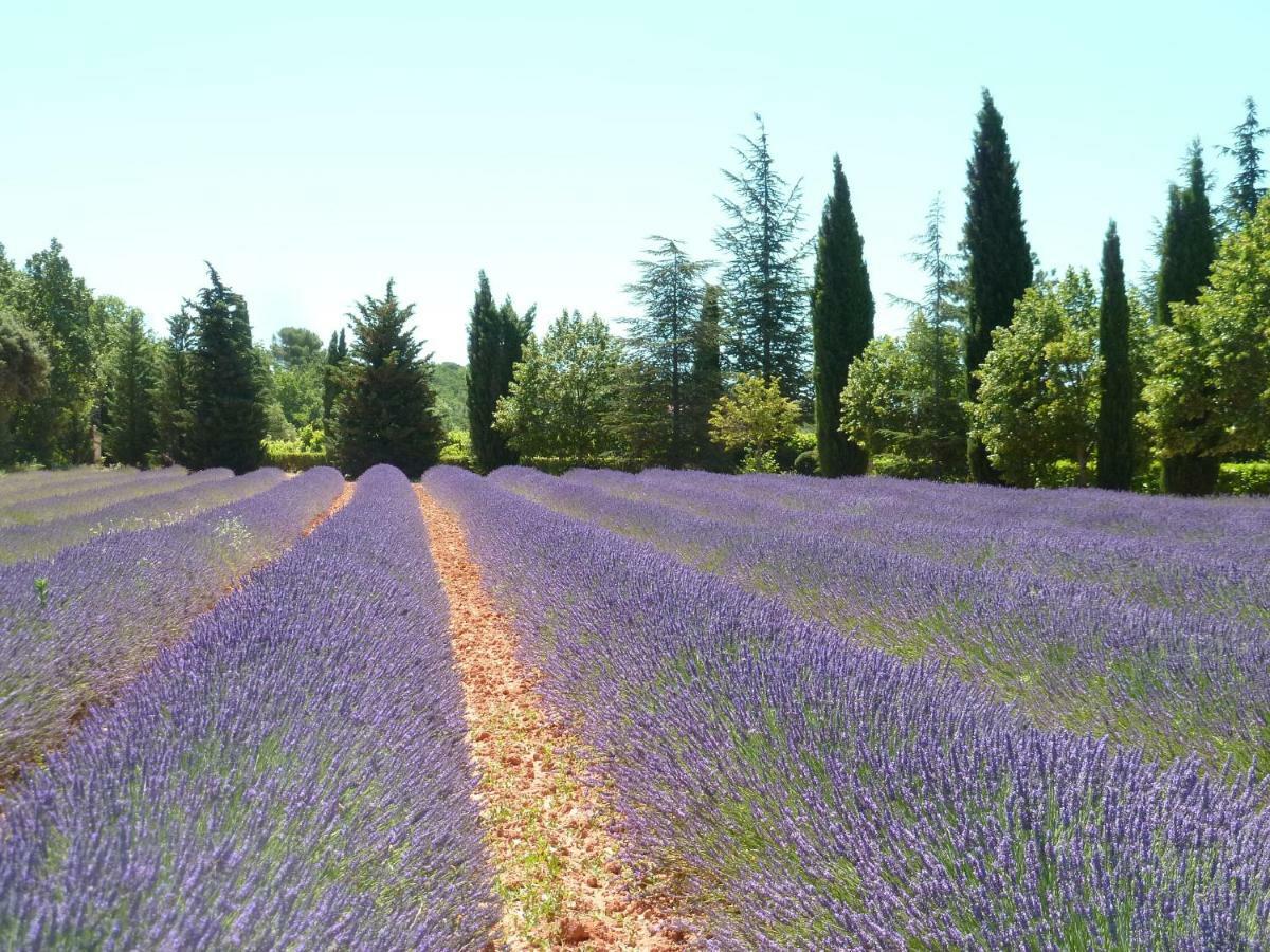 Luberon & Lavandes Руссільйон Екстер'єр фото
